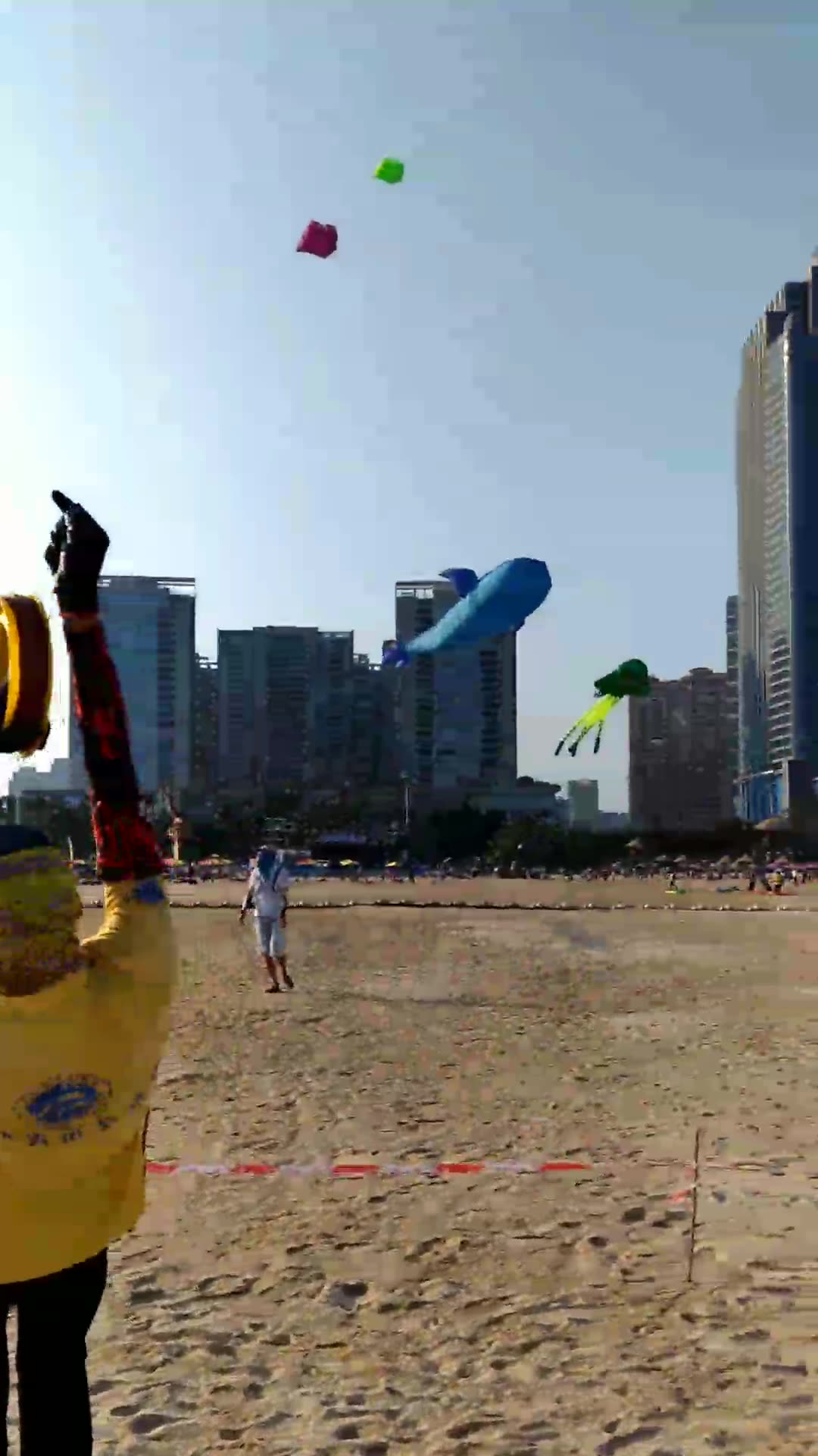 湛江金沙湾大型风筝