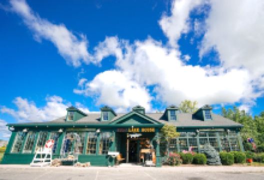 The Lake House购物图片