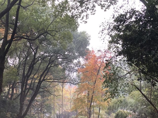 남교공원