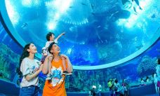 珠海长隆海洋王国·鲸鲨馆-珠海-AIian