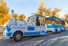 额济纳胡杨林旅游区景点图片