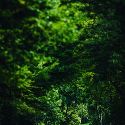德国慕尼黑新天鹅堡+阿尔卑斯湖一日游【专车接送-行程可调】
