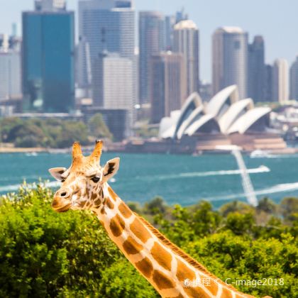 澳大利亚悉尼+堪培拉+汉密尔顿岛+布里斯班+黄金海岸11日10晚私家团