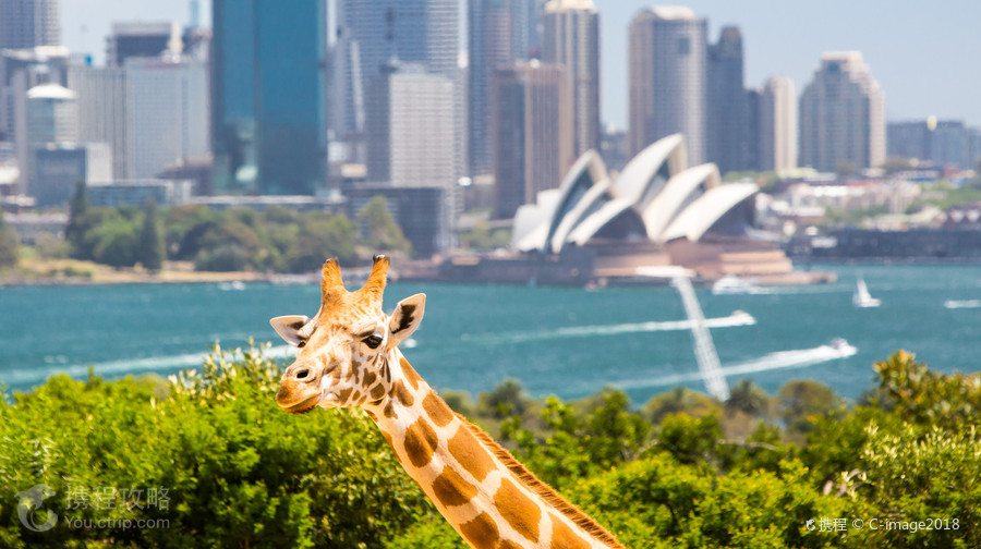 Taronga Zoo Sydney