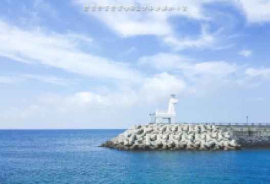 济州市旅游图片-小清新济州岛2日玩法，拍出ins同款大片！