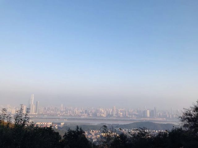 岳麓山