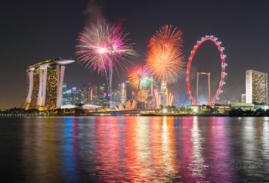 新加坡滨海湾花园+鱼尾狮公园+新加坡摩天观景轮+克拉码头一日【行程自由可私人定制，让您的身心放松，安心无购物，无强制消费。】