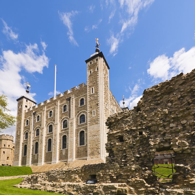 Case study turkce image