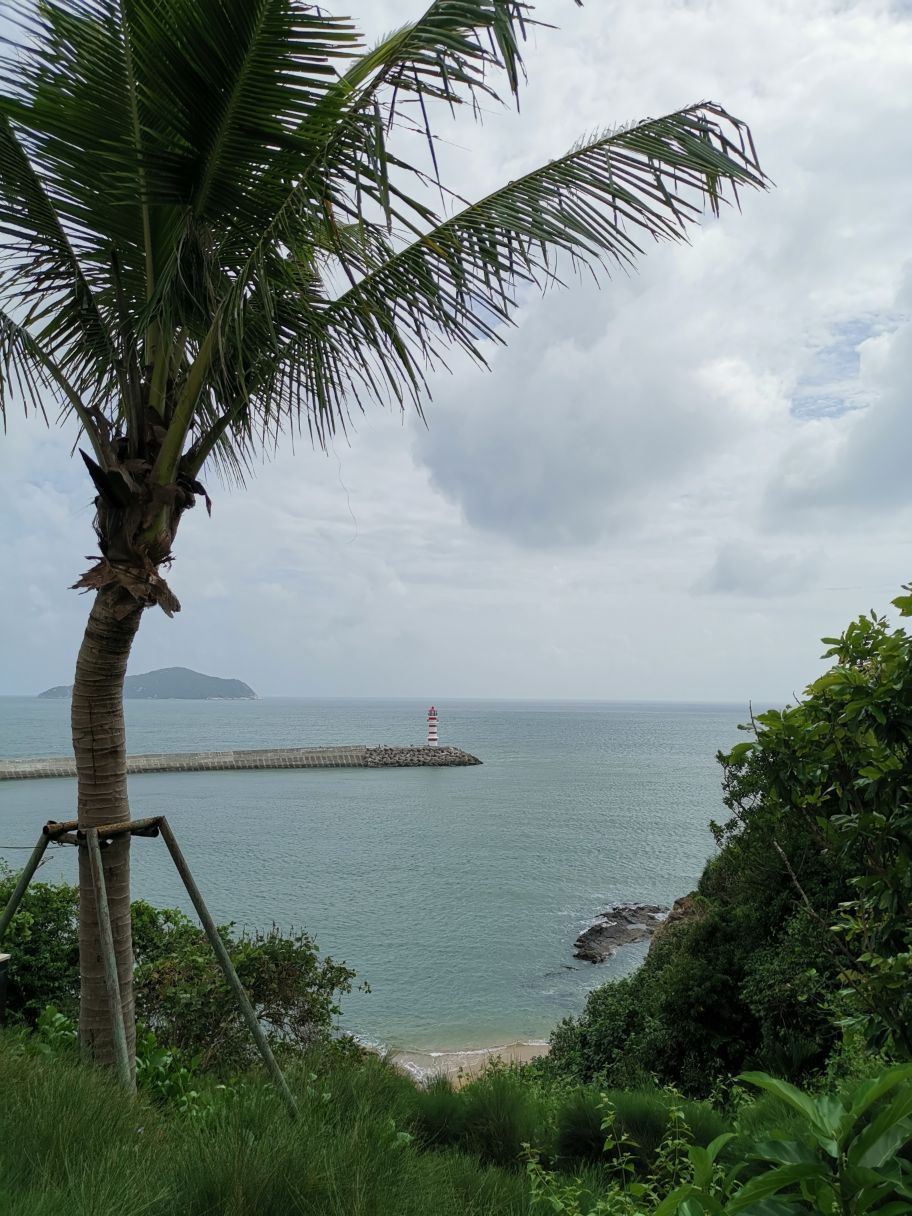 万宁神州半岛温德姆度假酒店的濒海无边游泳池