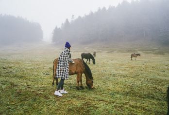 仙女山国家森林公园+天生三桥一日游私家小团亲情服务可制定行程【[透明的价格体系，不花冤枉钱]费用高低取决于您对品质的要求，透明报价，明白消费】