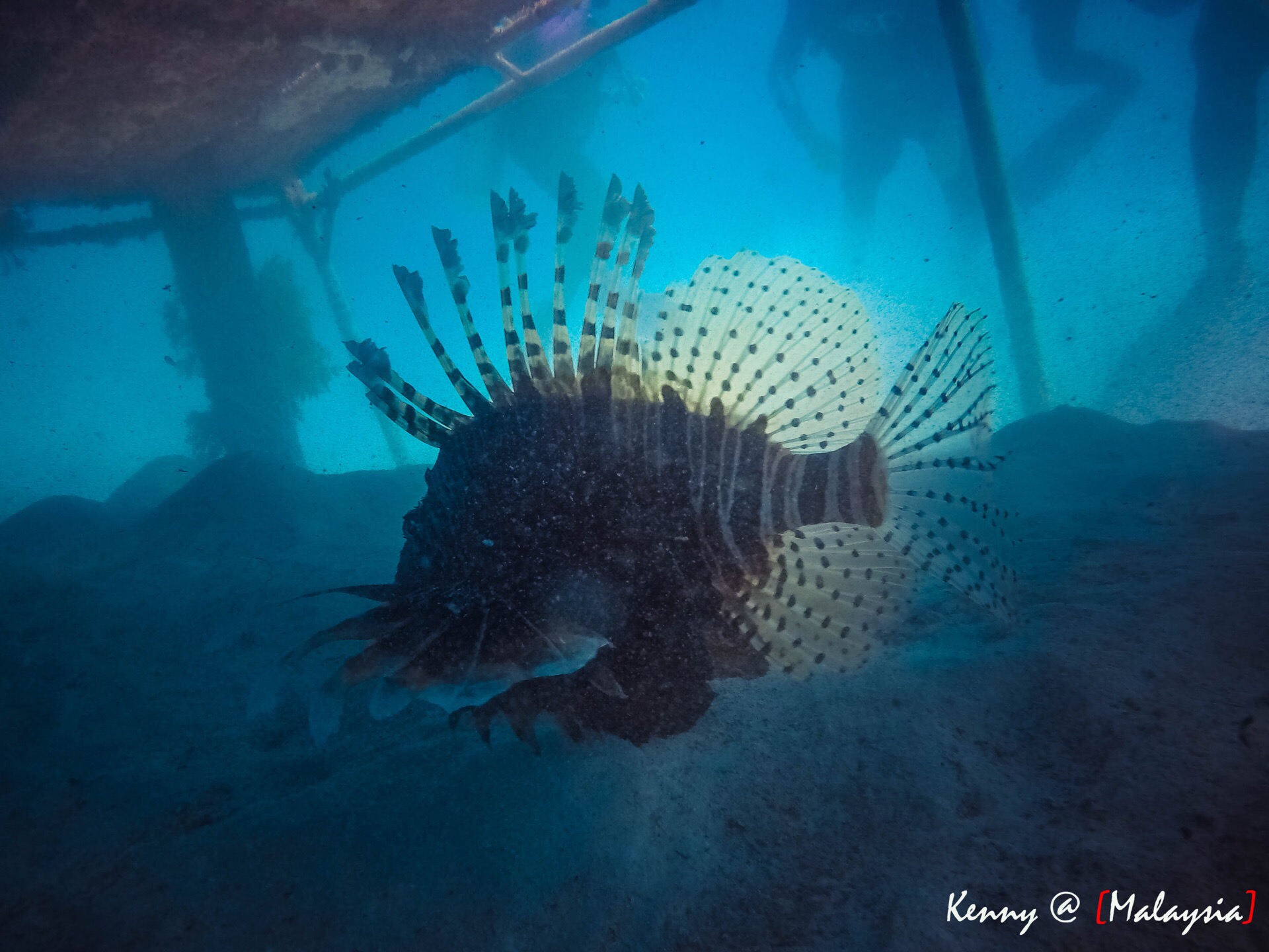 马布岛深潜，不可思议的多元海底世界