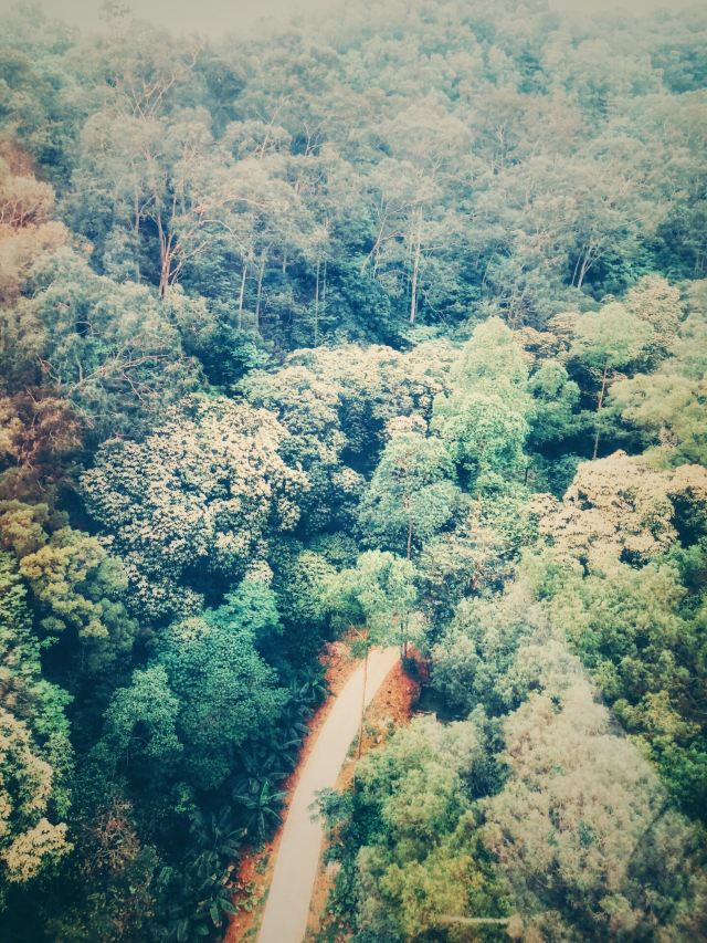 Baiyun Mountain