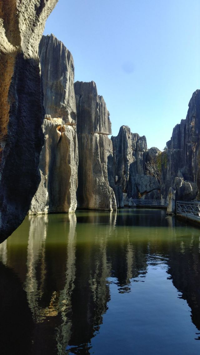 Stone Forest