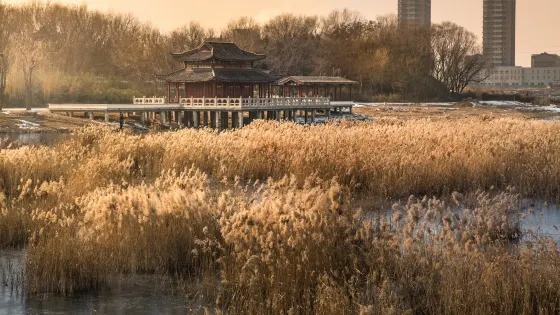 西湖公園