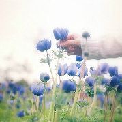 一条肠粉欣哥仔