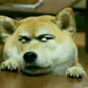 指间流过的痕迹