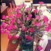 春天的春天是冬天