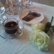 小灰灰灰常可爱