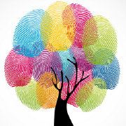 假如从未遇见你