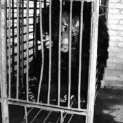 积极负责牟堂莉