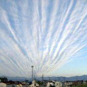 取个名字真难又重覆了