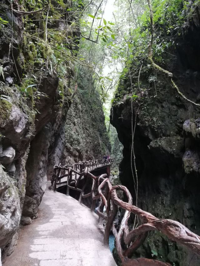 巴山大峽谷