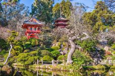 日本茶园-旧金山-尊敬的会员