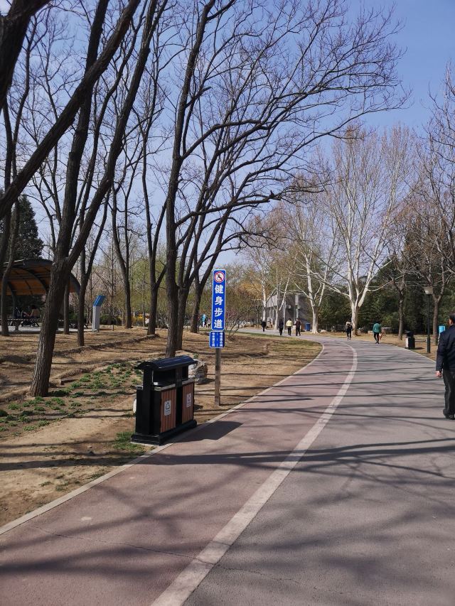 四得公园旅行图片 5