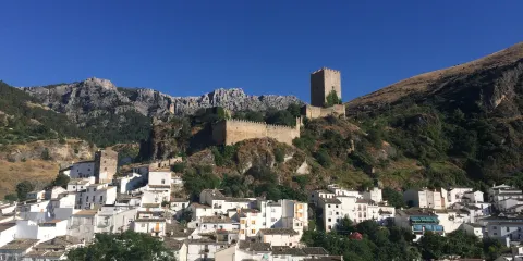 Castillo de la Yedra