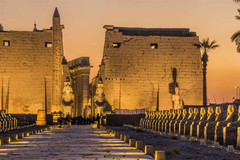 卢克索游记图片] 听说，埃及数千年的传奇从这里开始......