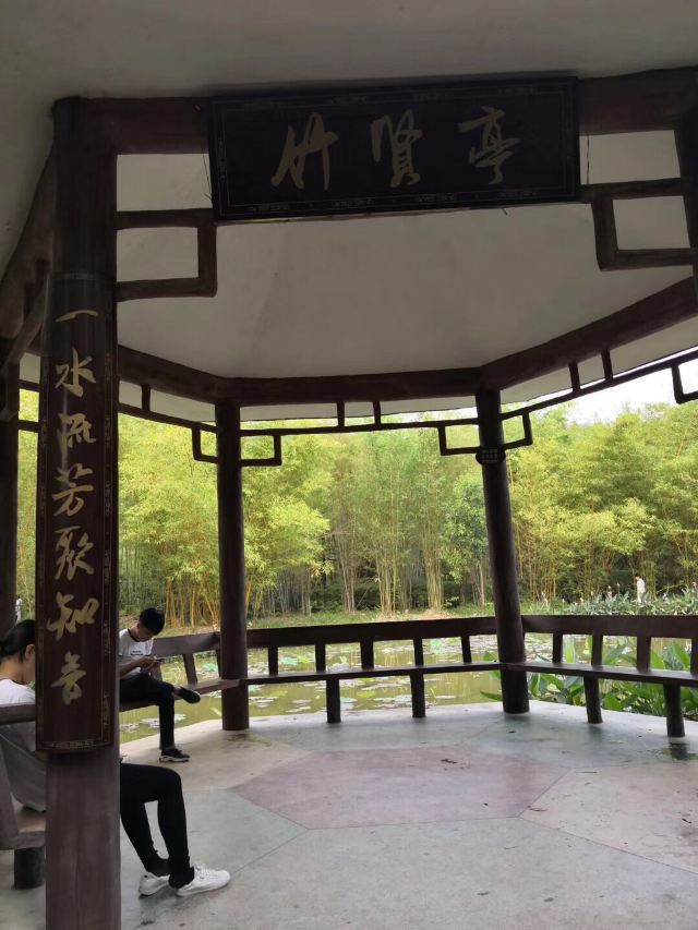 大屏嶂森林公园旅行图片 6