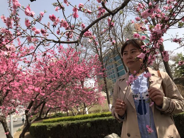 矿山公园旅行图片 1