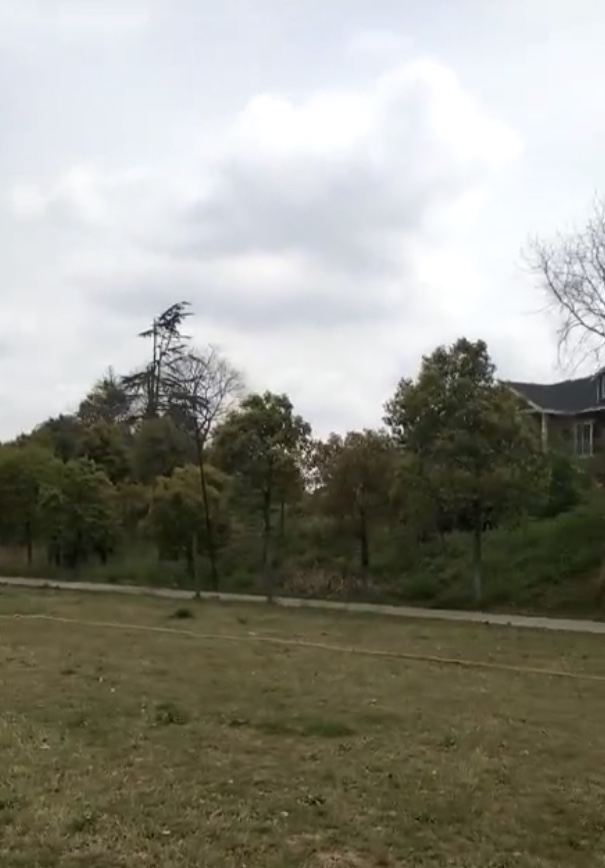 江天生態園