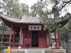 卧龙岗-南阳-YoYo_8M6E0H3X