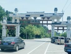 大围山国家森林公园-浏阳-YoYo_0X0K8W4C