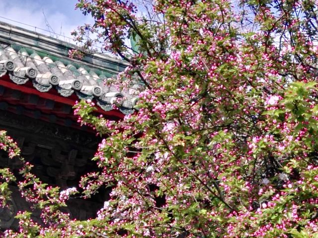 孚王府(不对外开放)旅行图片 8