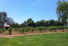 Bernardo Winery景点图片