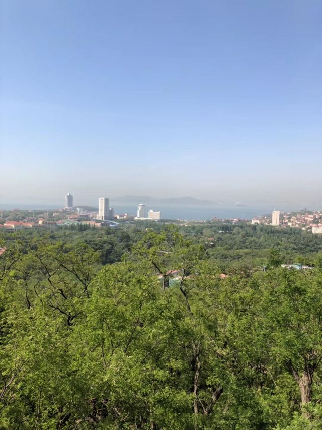 太平山旅行图片 3