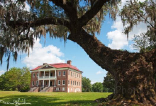 Drayton Hall景点图片