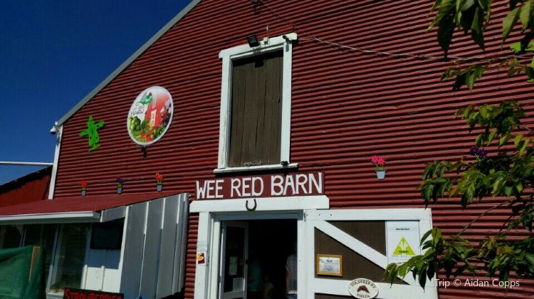 Red Barn Fast Food Restaurant Locations