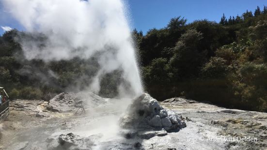 Lady Knox Geyser