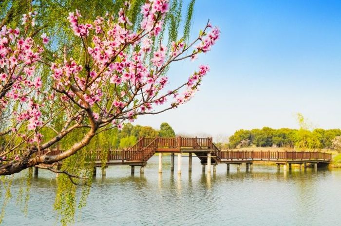 佘山户外烧烤真人CS露营团建中心(佘山植物园店)