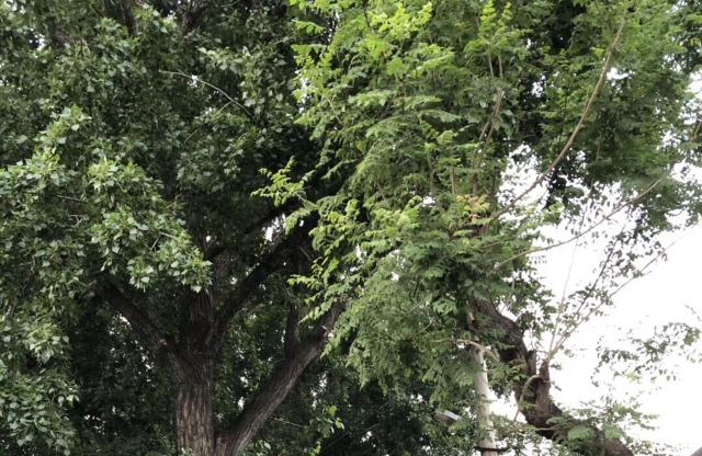 龙潭西湖公园旅行图片 3