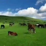 图片 2