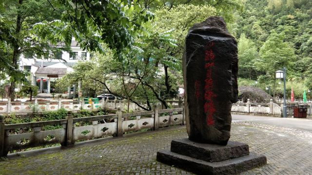 九龙山国家级自然保护区旅行图片 2
