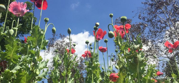 Botanical Garden Of The Ozarks Travel Guidebook Must Visit