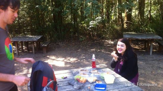 Sherbrooke Picnic Ground
