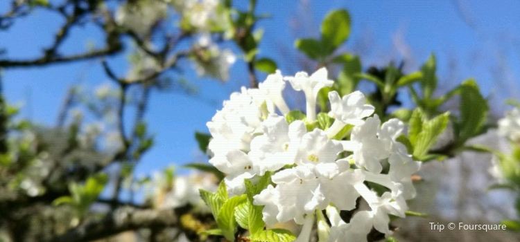 Botanischer Garten Travel Guidebook Must Visit Attractions In