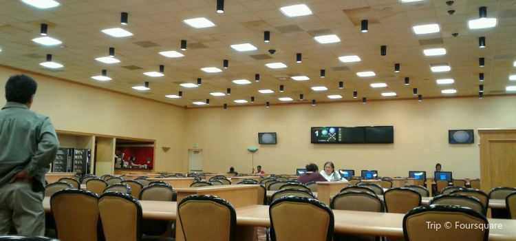 Cannery Casino Bingo Hall Travel Guidebook Must Visit