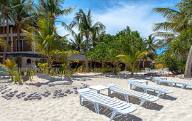 Malapascua Exotic Bar & Restaurant